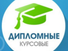          37716077  