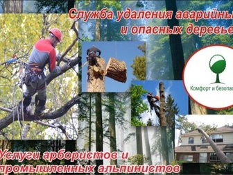 Новое фото  Спил аварийных опасных деревьев 66237278 в Белгороде