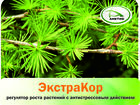Скачать бесплатно foto  «ЭкстраКор» – регулятор роста растений с антистрессовым действием 39567234 в Благовещенске