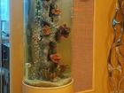 Увидеть фотографию Аквариумы Круглый аквариум от производителя 69054572 в Челябинске