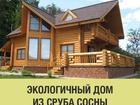  foto        75808700  