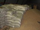Новое фото  Продам отруби пшеничные недорого 33470001 в Екатеринбурге