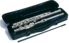 Потеряна классическая поперечная флейта