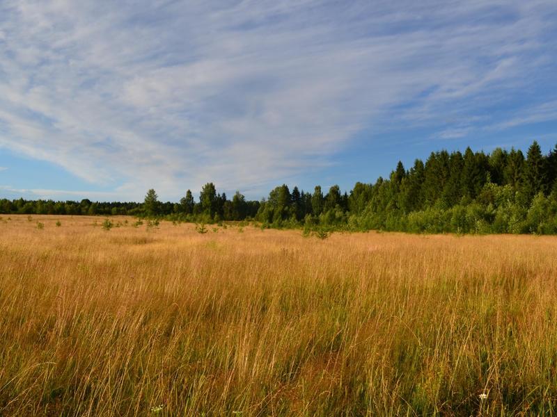Завьяловский Район Фото