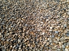 Свежее изображение Строительные материалы Бетон, раствор, гравий, опгс, песок, уголь 86020971 в Йошкар-Оле