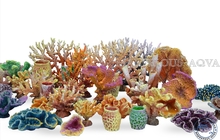 Оформление вашего аквариума - кораллы