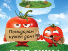 Новое изображение Строительные материалы Теплицы для томатов Конаково 38547642 в Кимрах