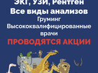 Скачать бесплатно foto Услуги для животных Ветеринарная клиника Zoohelp 80851092 в Красногорске