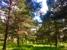  foto         72244315  