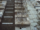  foto   ,  182 80109738  