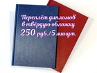         5  39301037  