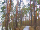 Просмотреть foto Земельные участки Продам земельный участок (инвестпроект) 33052326 в Одинцово