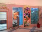 Уникальное изображение  Выставка живых тропических бабочек в Парке бабочек В Тропиках 37716400 в Самаре