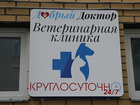  foto       68406118  