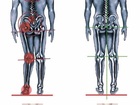 Уникальное изображение  Индивидуaльныe анатомические стельки 74570268 в Набережных Челнах