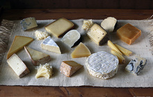 15 дегустационных образцов отборного сыра