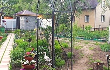 Садовая арка от производителя