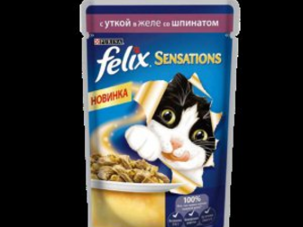 Скачать фото Корм для животных Корм для кошек 32603517 в Москве