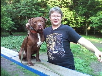 Скачать фото Собаки и щенки Кинолог: профессиональная дрессировка собак 71318681 в Москве