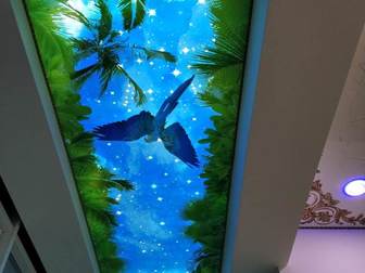 Смотреть фото  Натяжные потолки в комнате 74710600 в Махачкале