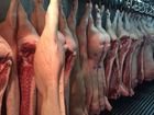 Смотреть foto Разное Мясо свинина полутуши 1 категории оптом 54780169 в Мурманске