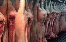 Мясо свинина полутуши 1 категории оптом