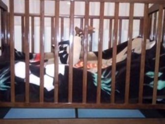 детская кроватка,  в отличном состоянии,  с выдвижным ящиком ,  цена договорнаяСостояние: Б/у в Мурманске