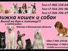   foto               37573651  
