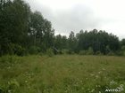 Скачать изображение Земельные участки земельный участок в п, чистая грива 35017679 в Новокузнецке
