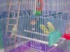 Просмотреть фотографию  Волнистые попугаи 34742570 в Новосибирске