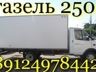  foto     89124978442  250 39651730  