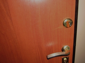 Свежее фотографию  Дверь входная металлическая 66458860 в Подольске