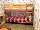  foto         33802030  