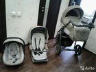 roan Bass 3  1