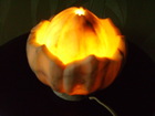 Смотреть изображение  Оригинальный декоративный светильник Каменный цветок, СССР, 70121550 в Самаре
