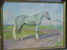 Смотреть изображение  Картина лошади огромного размера 32784371 в Санкт-Петербурге