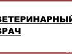 Уникальное изображение  Вызов Ветеринарного Врача на дом Спб и Лен Обл (Юг) 32916111 в Санкт-Петербурге