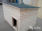   foto     34345334  