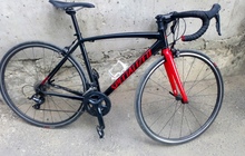   Specialized