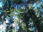  foto   32   , 30       34811036  -