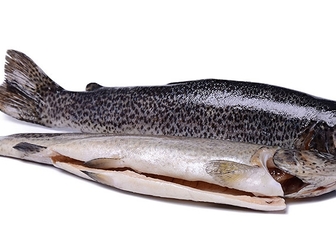 Новое фотографию Разное Продается живая рыба Форель, Осетр 72302244 в Стерлитамаке