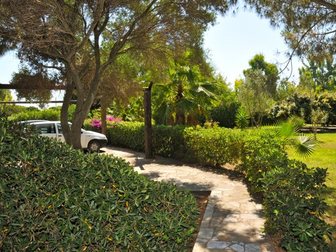 Новое изображение Поиск партнеров по бизнесу На Сардинии (Италия) продается усадьба с большим парком, бассейном, кортом ,виноградниками 33660337 в Уфе