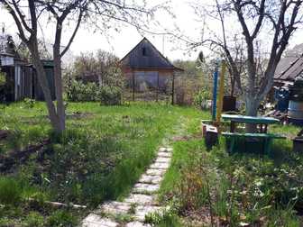 Скачать бесплатно фото Сады Плодородный сад в очень хорошем месте за Булгаково на 39км 69899734 в Уфе