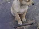        32404796  -