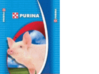 Просмотреть фото Корм для животных Purina корма и концентраты 34672652 в Владикавказе