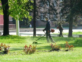 Свежее фото Ландшафтный дизайн Опил деревьев, покос травы триммером в Воронеже 56861056 в Воронеже
